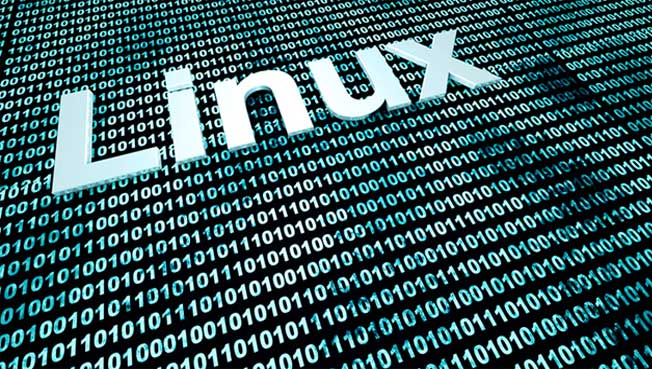  کاربرد PATH Environment Variable یا متغیر محیطی PATH در سیستم عامل لینوکس